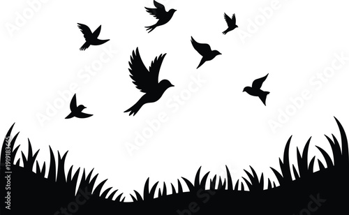 Black silhouette of birds flying over grassy field