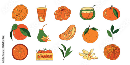 Tangerine Fruit Clipart Set. Citrus Illustration Pack, Orange and Peel. Fresh Tangerine Vector. Fruits, juices, leaves 