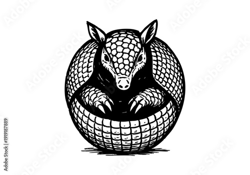 Armadillo hand drawn simple sketch vector illustration