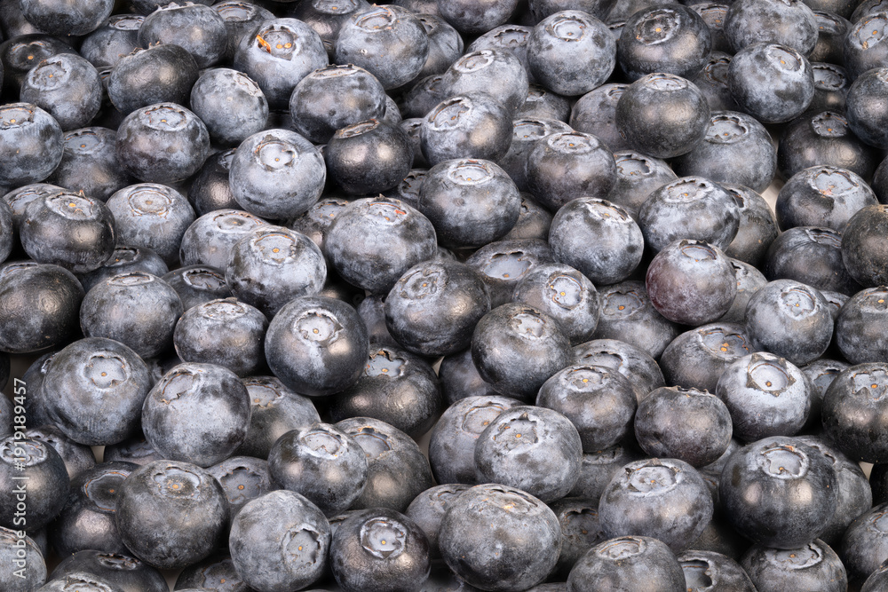 Fotografie Blueberry dessert decoration