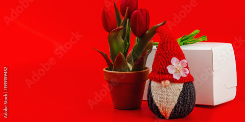 Minimalist spring greeting card with knitted gnome, tulips and gift box. Traditional festive symbol
