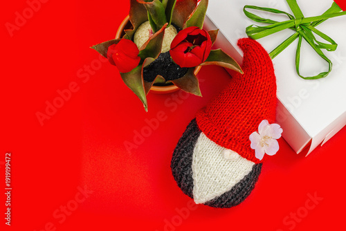 Minimalist spring greeting card with knitted gnome, tulips and gift box. Traditional festive symbol