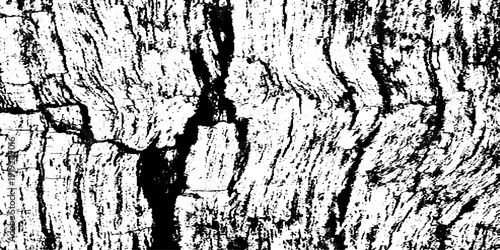 Black and White Wood Grain Texture Background Distressed Tree Bark Pattern, Rough Timber Surface, Rustic Wooden Plank Detail, High Contrast Monochrome Natural Texture for Wallpaper, Print and Graphics