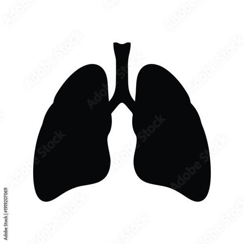 Simple vector illustration of human lungs in a flat silhouette style from a frontal viewpoint