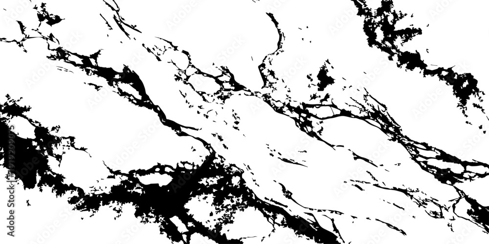 Fototapeta premium Minimal black and white marble vein texture abstract background.