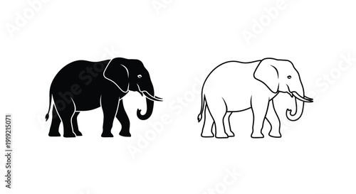Two elephants depicted in contrasting styles one as a dark silhouette