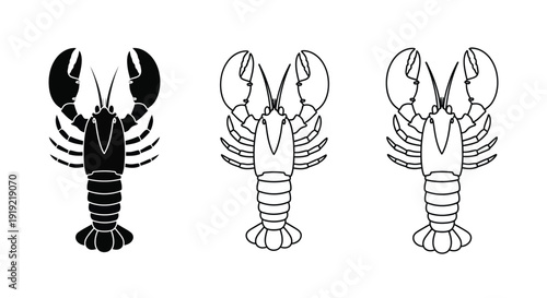 Three lobster illustrations in varying styles a striking silhouette