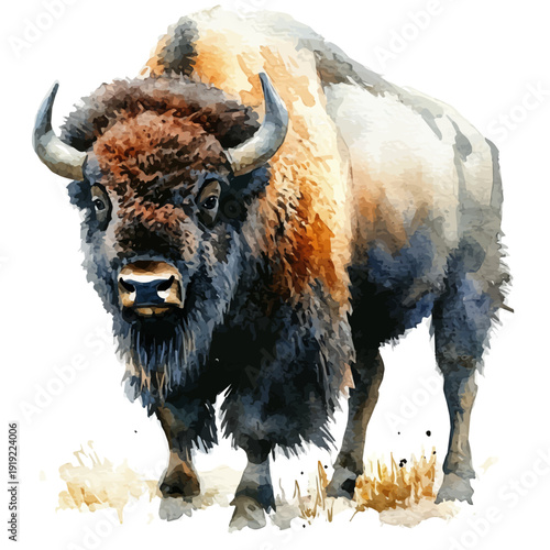 Bison, serene watercolor vector artwork with smooth washes of color and refined textures, isolated on a white background.