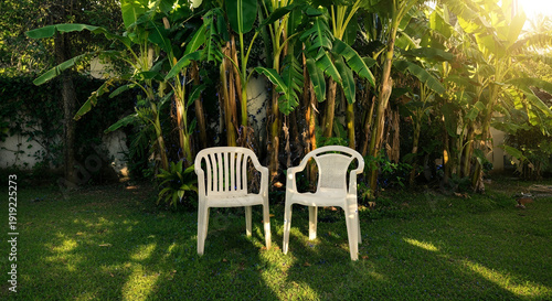 Two plastic chairs in a tranquil garden with banana trees and sunlight