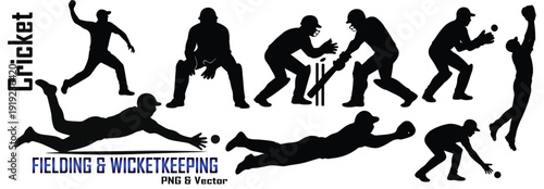 Vector silhouettes of men cricket wicket keeping and fielding poses