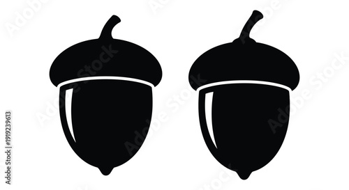 Two detailed acorns displayed against a white background silhouette