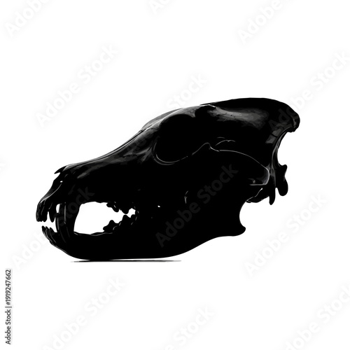 Dramatic Black Canine Skull Isolated on White Background, Grim Concept.