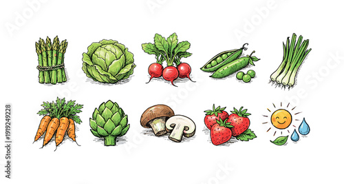 Vegetables and fruits icon set. Colorful flat icons for healthy food collections