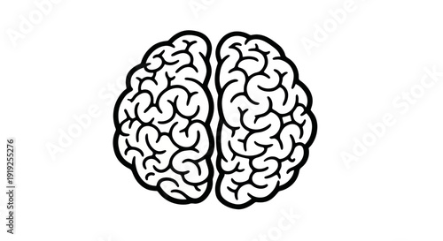 Detailed illustration of a human brain with visible hemispheres and intricate folds.