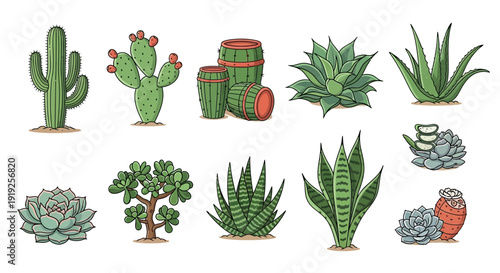Collection of cartoonstyle illustrations of various cacti and succulents
