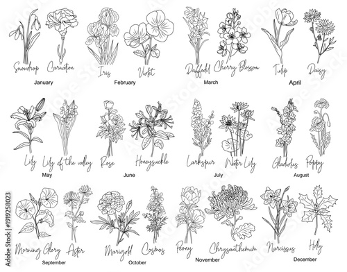 Set of Birth month flowers line art vector illustrations. Carnation, iris, daffodil, daisy, lily of the valley, violet, gladiolus, aster, marigold drawings for tattoo, logo, wall art.	