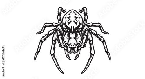 Detailed spider vector illustration in black and white line art tattoo style