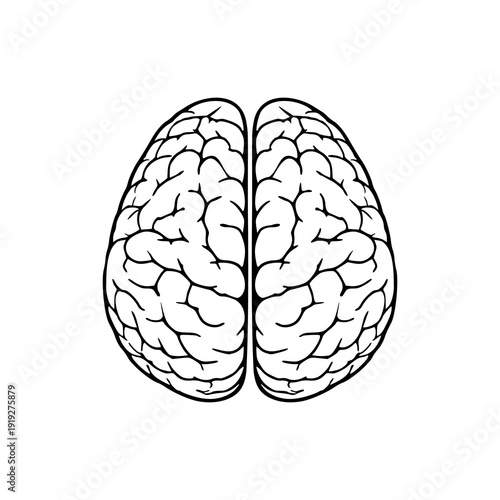 Human brain icon isolated on white background