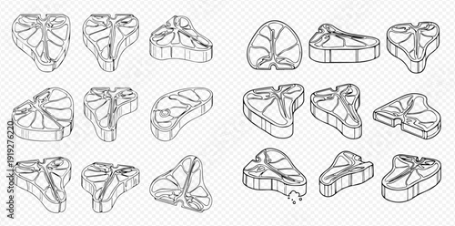 Set of various raw meat steaks, T-bone, ribeye, and sirloin cuts, outlined vector illustrations on a transparent background.