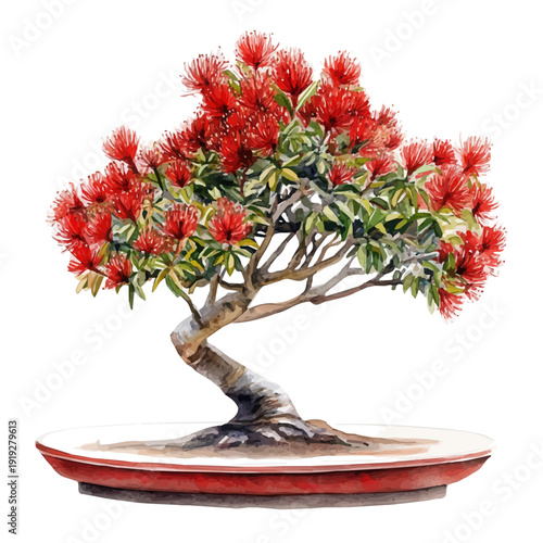 Quadro su tela watercolor of Scarlet Bottlebrush Bonsai painting, isolated on a white background