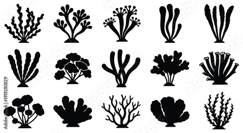 Collection of diverse seaweed and coral shapes in black silhouette