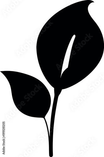 Sensation peace lily black silhouette plant illustration