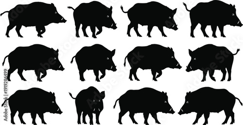 Wild boar silhouette collection walking side profile set isolated on white background animal wildlife vector illustration for farming hunting nature design