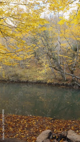 A walk along the gorno-canyon river. Golden autumn forest from a lower angle. Picnic on the logs. Emerald water. Fallen leaves float on the river. The ground is strewn with foliage. Cinematic flight.
