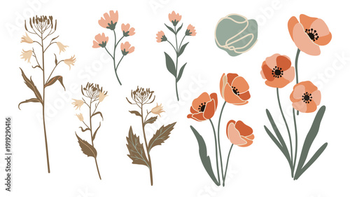 A beautiful collection of hand-drawn botanical illustrations featuring various wild flowers and delicate plants, perfect for natural designs.