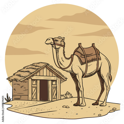 Traditional Camel Rural Desert Village Transport Culture Icon