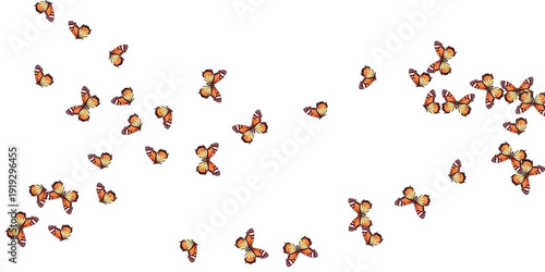 red and yellow leaves