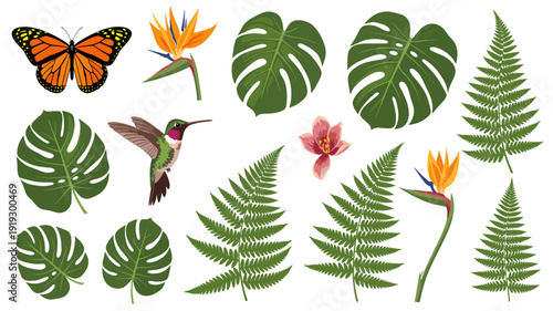 Vibrant collection of tropical elements featuring a monarch butterfly, hummingbird, exotic flowers, and diverse green foliage, perfect for summer designs.