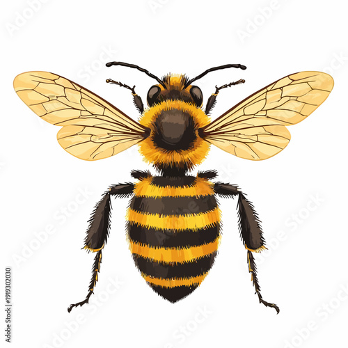 Honey Bee Design Very Cool