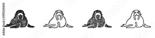 Sketch walrus icon design set