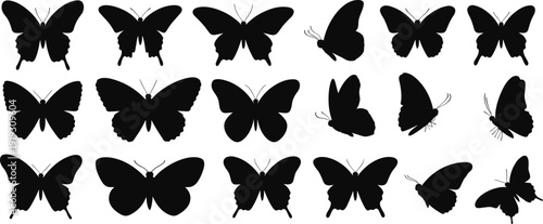 Assortment of Butterfly Silhouettes in Various Poses and Angles insect wing