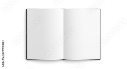 Empty journal pages for creative writing and educational curriculum planning.