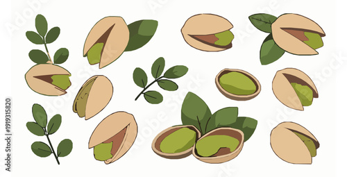 Decorative pistachio nuts with leaves vector illustration