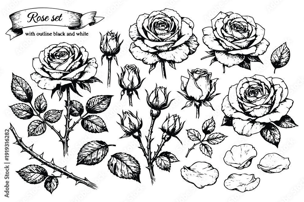 Φωτογραφία hand-drawn black and white rose collection with thorns