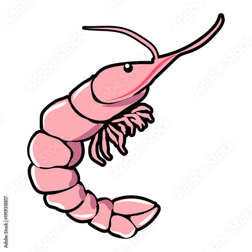 Simple Cartoon Pink Shrimp