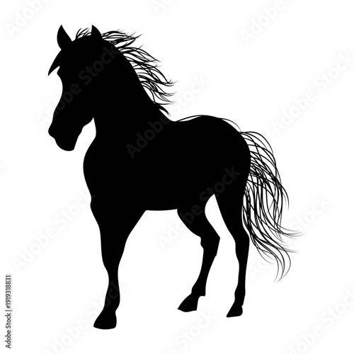 Dynamic Black Horse Silhouette