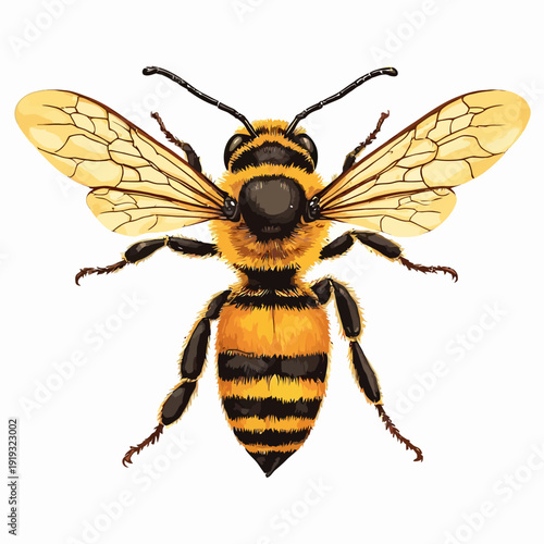 honey bee design very cool