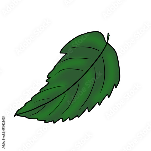 Cute Hand Drawn Style Green Foliage Icon for Eco-Friendly Branding