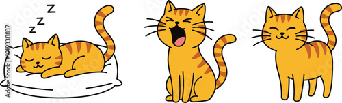 Ginger tabby kitten waking up sequence with three poses vector illustration isolated on white background
