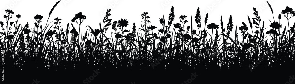 Obraz premium A long horizontal silhouette border of a dense meadow filled with various wildflowers and grasses, suitable for a bottom border design, a clean white background