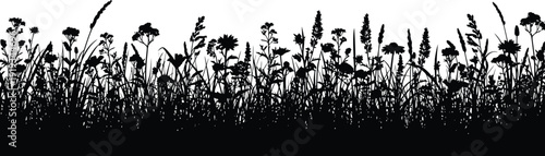 A long horizontal silhouette border of a dense meadow filled with various wildflowers and grasses, suitable for a bottom border design, a clean white background