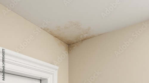 Water stain spreads across an indoor ceiling near a door. Damage, home maintenance, problem 
