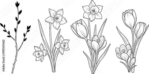 A set of 4-5 delicate Easter floral elements, including small budding branches and stylized spring flowers, isolated, a clean white background