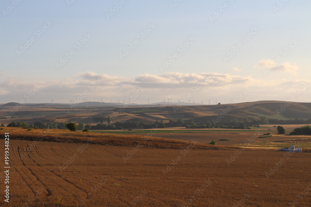 Obraz premium asphalt road from Ages toward Atapuerca, prehistoric site sign visible, July 2024