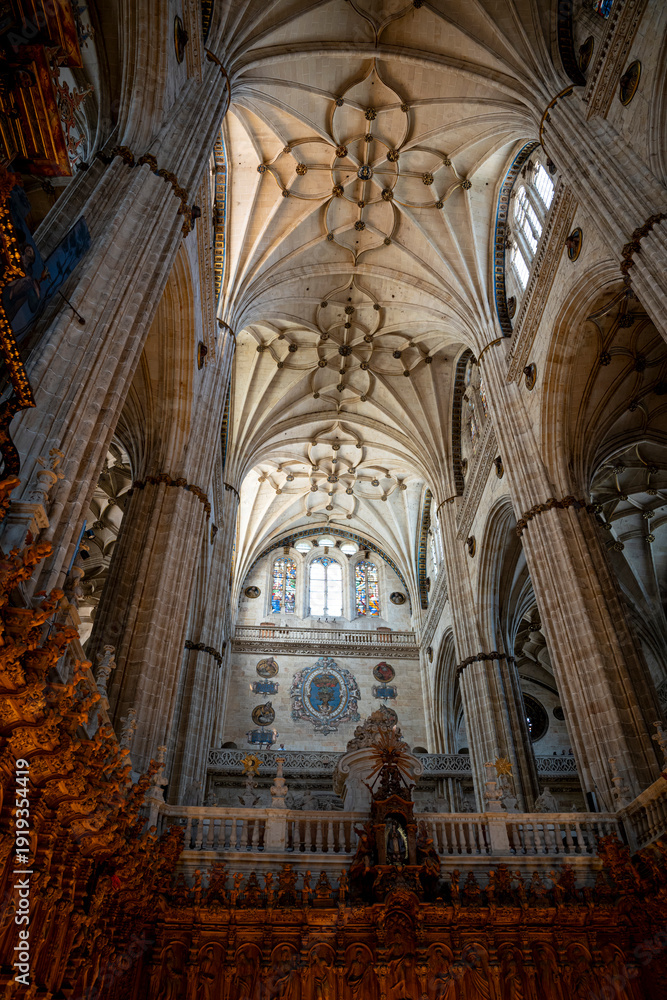 Obraz premium Intricate architecture inside a grand cathedral.. Choir and organ of the Cathedral of Salamanca, Spain