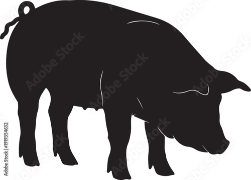 Pig Silhouette Vector Illustration Isolated on White Background